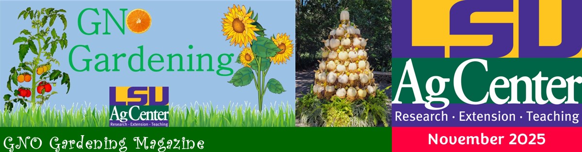 GNO Gardening Magazine - November 2025
